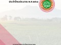 แผนการดำเนินงาน ของเทศบาลตำบลเมืองปาน ประจำปีงบประมาณ ... Image 1