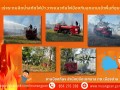 🔥 เหตุไฟไหม้ป่าบริเวณ บ้านแพะยาว บ้านทุ่งโป่ง ม.1 Image 1