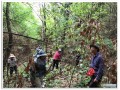 ร่วมกันสร้างฝายกั้นน้ำ ในพื้นที่ปกปักรักษาป่าไม้ชุมชน Image 1