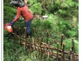 ร่วมกันสร้างฝายกั้นน้ำ ในพื้นที่ปกปักรักษาป่าไม้ชุมชน Image 5